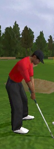 tigerwoods-1.jpg