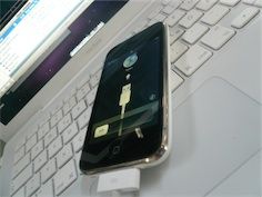 iphone3gs1b.jpg