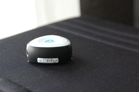 tunebug2.jpg