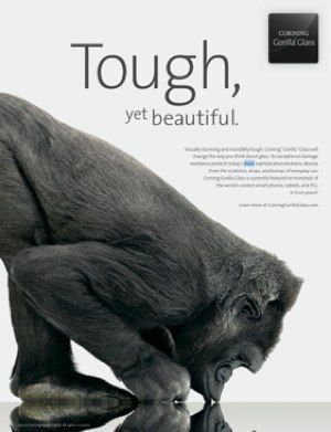 iPhoneBlog.de_Gorilla.jpg IPhoneBlog de Gorilla