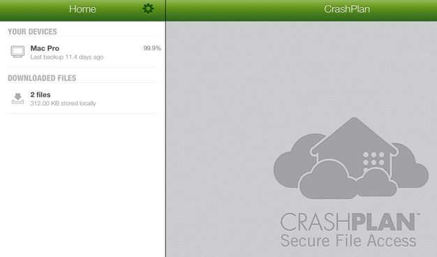 CrashPlan