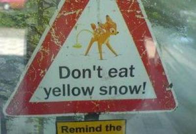 yellow-snow-warning1.jpg