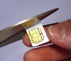micro1.jpg
