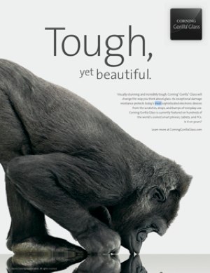 iPhoneBlog.de_Gorilla.jpg IPhoneBlog de Gorilla