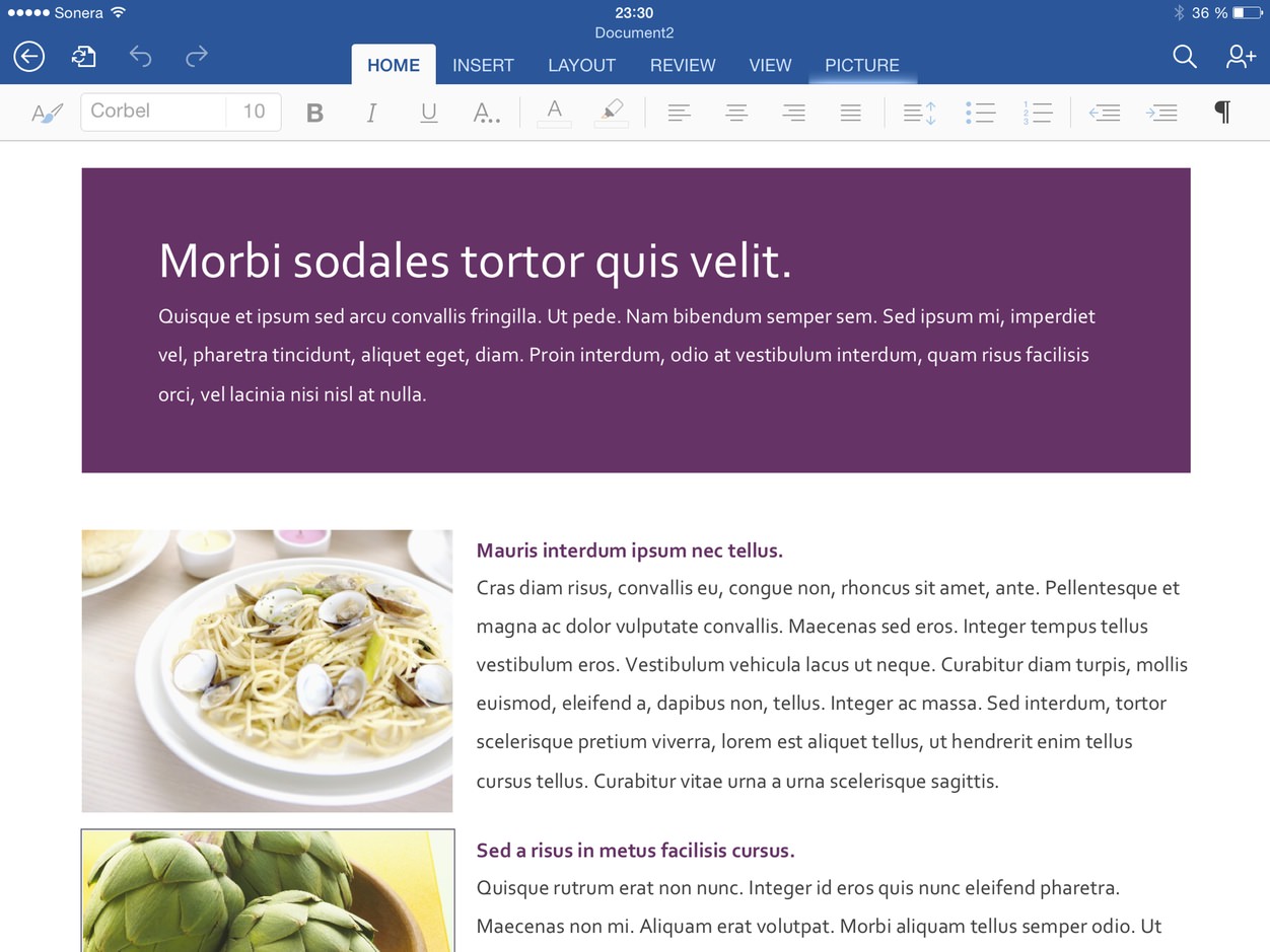 IPhoneBlog de MS Office iPad