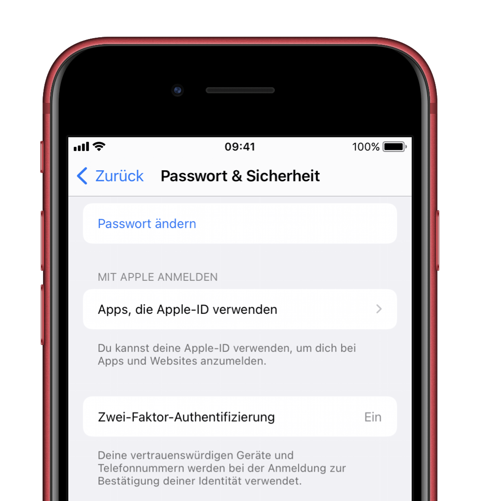 Screenshot zeigt iOS-Passwort-Einstellungen.