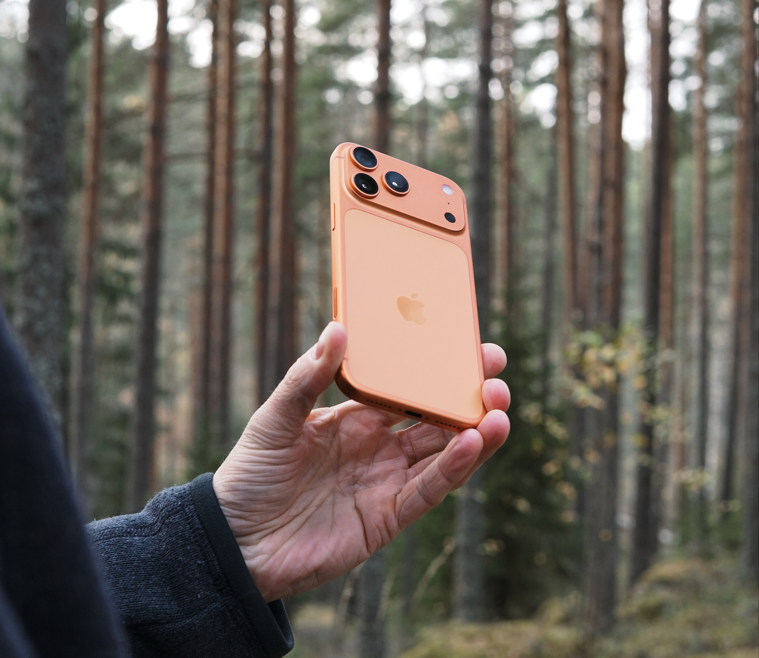 A hand holding a gold-colored iPhone in front of a blurry forest background. The phone has multiple camera lenses and the Apple logo is visible. The person is wearing a dark grey sweater.