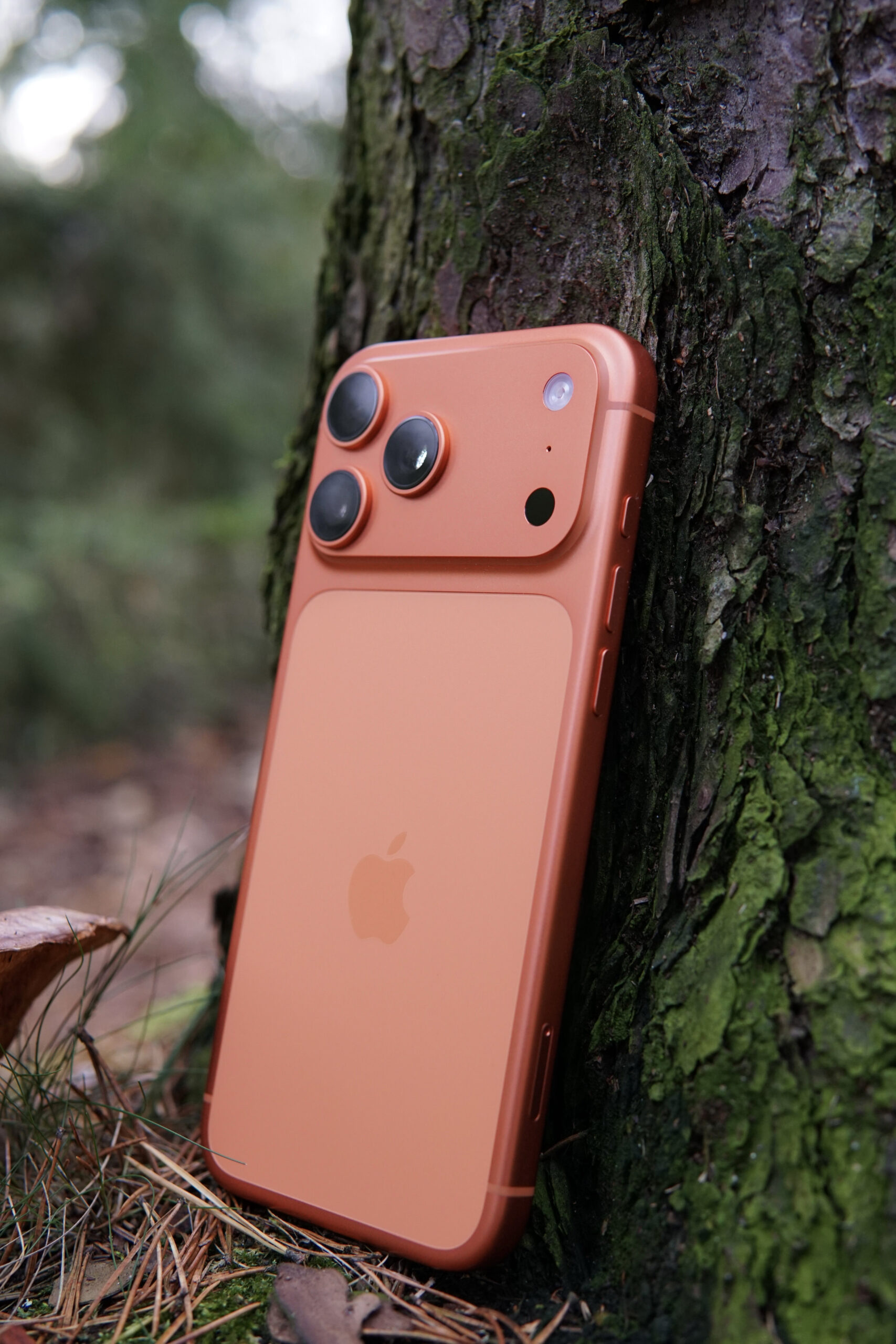 A copper-colored iPhone rests against a moss-covered tree trunk, showcasing its triple-lens camera module and Apple logo, with blurred forest background and pine needles.
