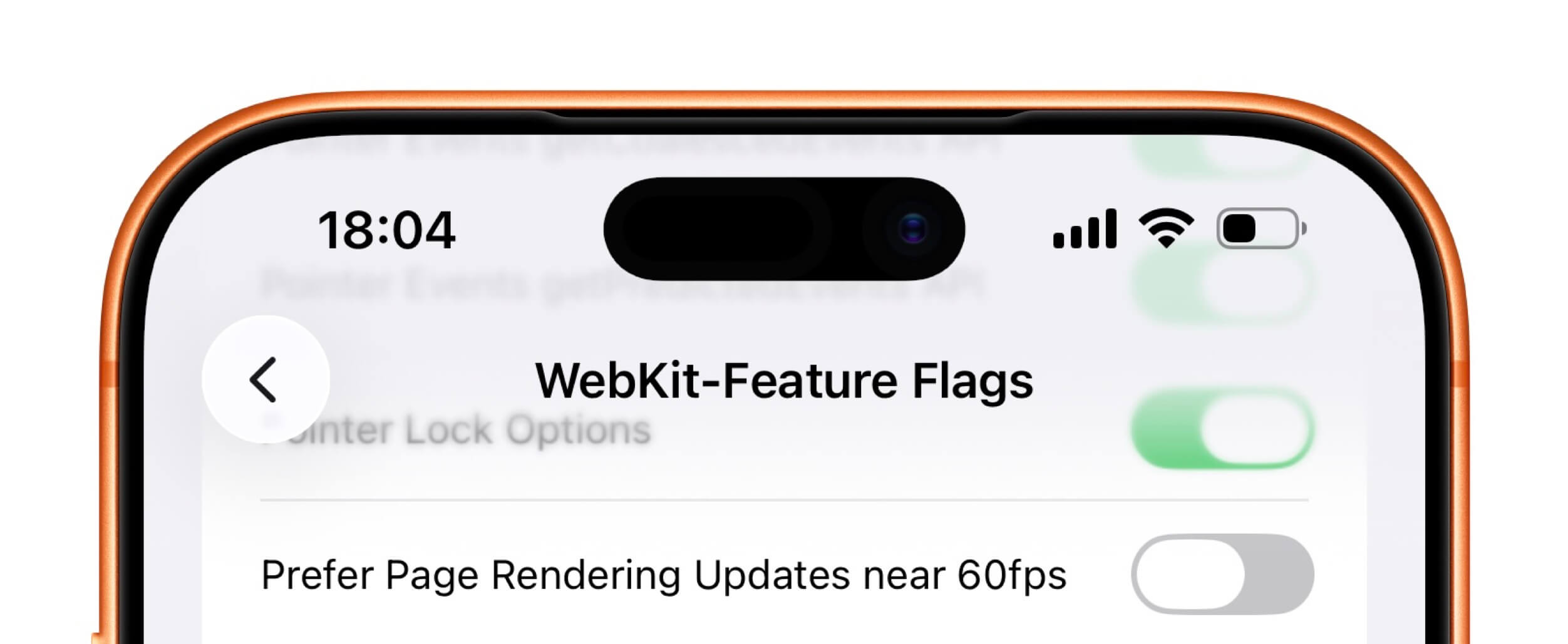 Nahaufnahme des Displays eines Smartphones, das die Oberseite des Bildschirms mit einem "Dynamic Island"-Ausschnitt, der Uhrzeit 18:04 und ein Einstellungsmenü mit dem Titel "WebKit-Feature Flags" zeigt, mit mehreren Umschalttasten; eine grün und aktiv, die andere aus.
