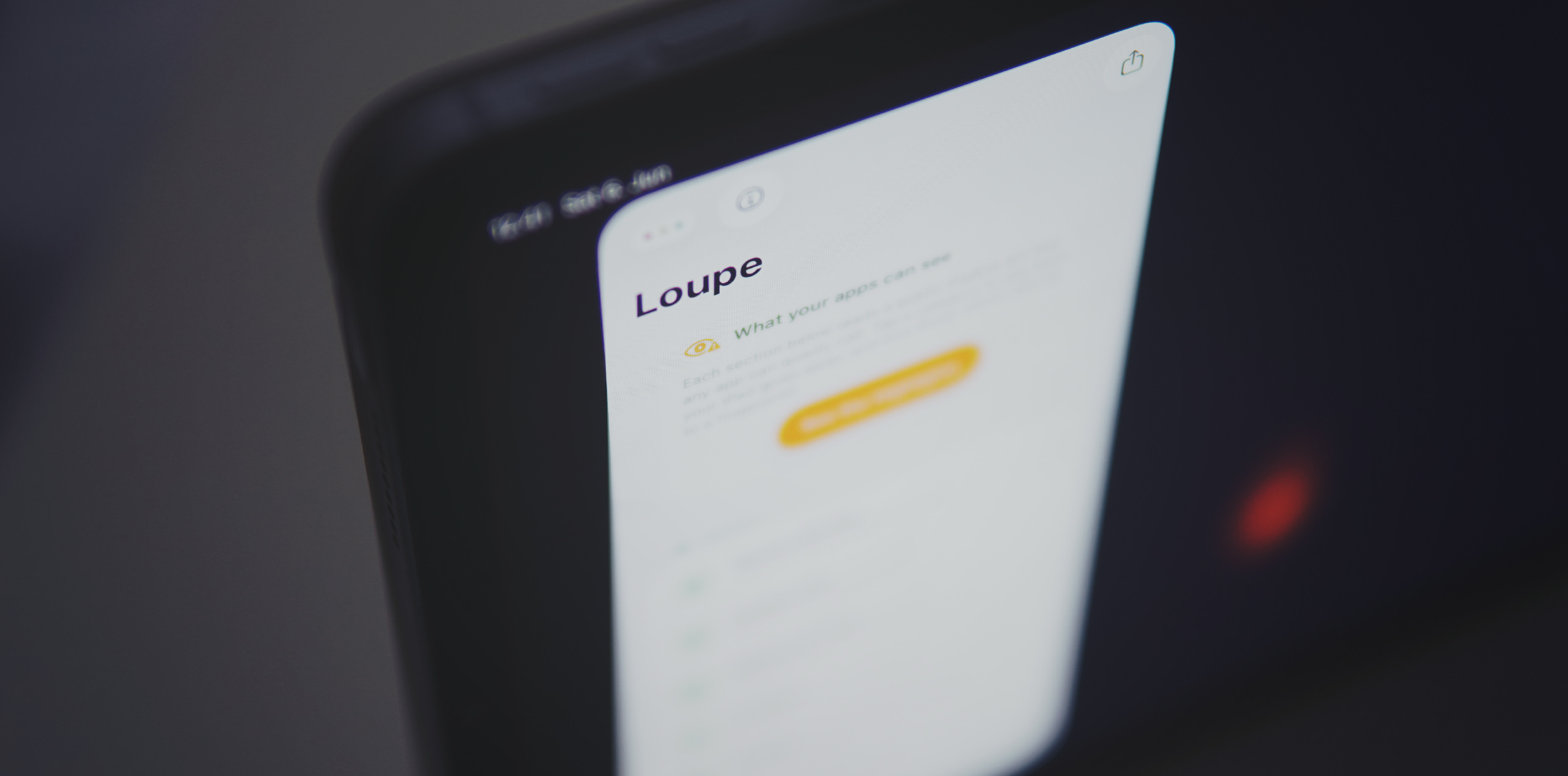 Eine Nahaufnahme eines Smartphone-Bildschirms, auf dem die Benutzeroberfläche der Loupe-App zu sehen ist, welche Datenschutzeinstellungen unter der Überschrift "What your apps can see" anzeigt.